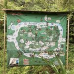 Ruta-del-Cafe-12
