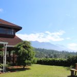 Ruta-del-Cafe-25