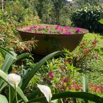 Ruta-del-Cafe-3