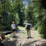 Ruta-del-Cafe-6
