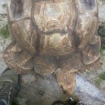 Tour-Ecoparque-5
