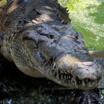 Tour-Ecoparque-8