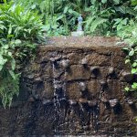 Tour-Finca-Argovia-3
