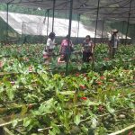 Tour-Finca-Argovia-7