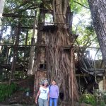 Tour-Ron-Bonampak-1